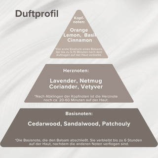 Duftprofil-Pyramide eines Pure Elements Produkts – dargestellt in drei Ebenen: Kopfnoten mit Orange, Zitrone, Basilikum, Zimt; Herznoten mit Lavendel, Muskat, Koriander, Vetiver; Basisnoten mit Zedernholz, Sandelholz und Patchouly. Die Pyramide visualisiert die Duftentwicklung von der Kopfnote bis zur Basis. Naturkosmetik-Duftprofil, vegan, BDIH-zertifiziert, tierversuchsfrei, glutenfrei, Made in Germany