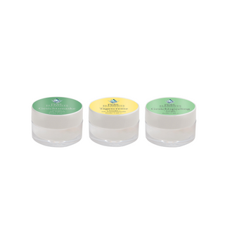 Tagesroutine Kennenlern-Set von Pure Elements als Hauptbild mit weißem Hintergrund. Drei hochwertige Naturkosmetik-Proben à 5 ml: Gesichtspeeling •Energie• mit Reis, Gesichtsmaske •Energie• mit Arganöl und Tagescreme •Energie• mit Tomatenextrakt. Perfekt für die tägliche Pflege und zum Kennenlernen der energetischen Hautpflege-Routine.
