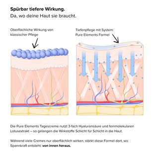 Vergleichsbild zur Wirktiefe von Gesichtspflege: Links die oberflächliche Wirkung klassischer Cremes, rechts die tiefenwirksame Pure Elements Tagescreme mit 3-fach Hyaluronsäure und feinmolekularem Lotusextrakt. Text betont: „Spürbar tiefere Wirkung. Da, wo deine Haut sie braucht.“ Die Grafik visualisiert, wie die Pure Elements Formel Schicht für Schicht in die Haut eindringt und so Spannkraft und Feuchtigkeit von innen heraus stärkt – im Gegensatz zur rein oberflächlichen Wirkung konventioneller Produkte.