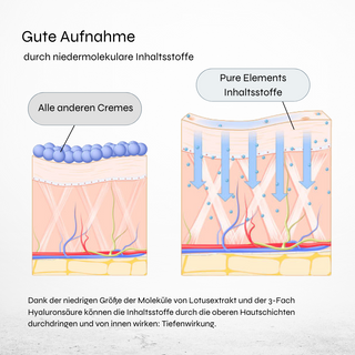 Das Vergleichsbild zeigt zwei Darstellungen: links eine herkömmliche Creme mit oberflächlicher Wirkung auf die Haut, rechts die Pure Elements Creme mit besonderen Inhaltsstoffen, die tiefer in die Haut eindringt. Die Visualisierung verdeutlicht die verbesserte Wirksamkeit durch natürliche Liposome, Lotusextrakt, Mandelöl und Sheabutter – vegane Naturkosmetik mit Bergkristallen, glutenfrei, BDIH-zertifiziert, tierversuchsfrei, Made in Germany