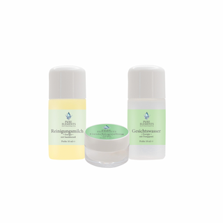 Gesichtsreinigung Kennenlern-Set von Pure Elements auf weißem Hintergrund als Hauptbild. Enthält drei hochwertige Mini-Produkte zum Testen: Gesichtspeeling •Energie• mit Reis (5 ml), Gesichtswasser •Energie• mit Frangipani (10 ml) und Reinigungsmilch •Energie• mit Sanddornöl (10 ml) – ideal für empfindliche Haut und die tägliche Pflege.